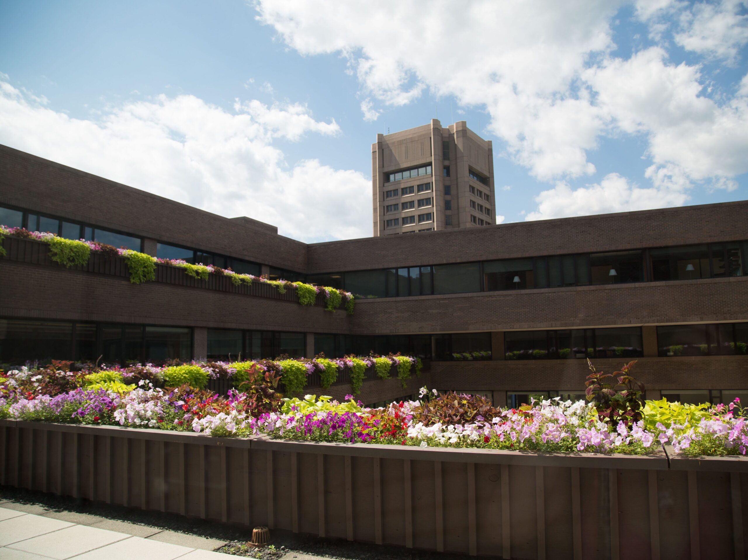 Taplin Auditorium at Fine Hall