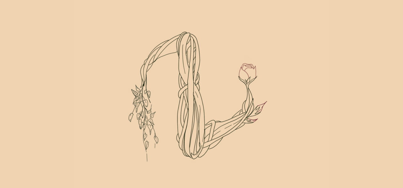 graphic with beige background and a logo design for La Vie en Cello that includes vines leading to a single rose in thin black, drawn lines.