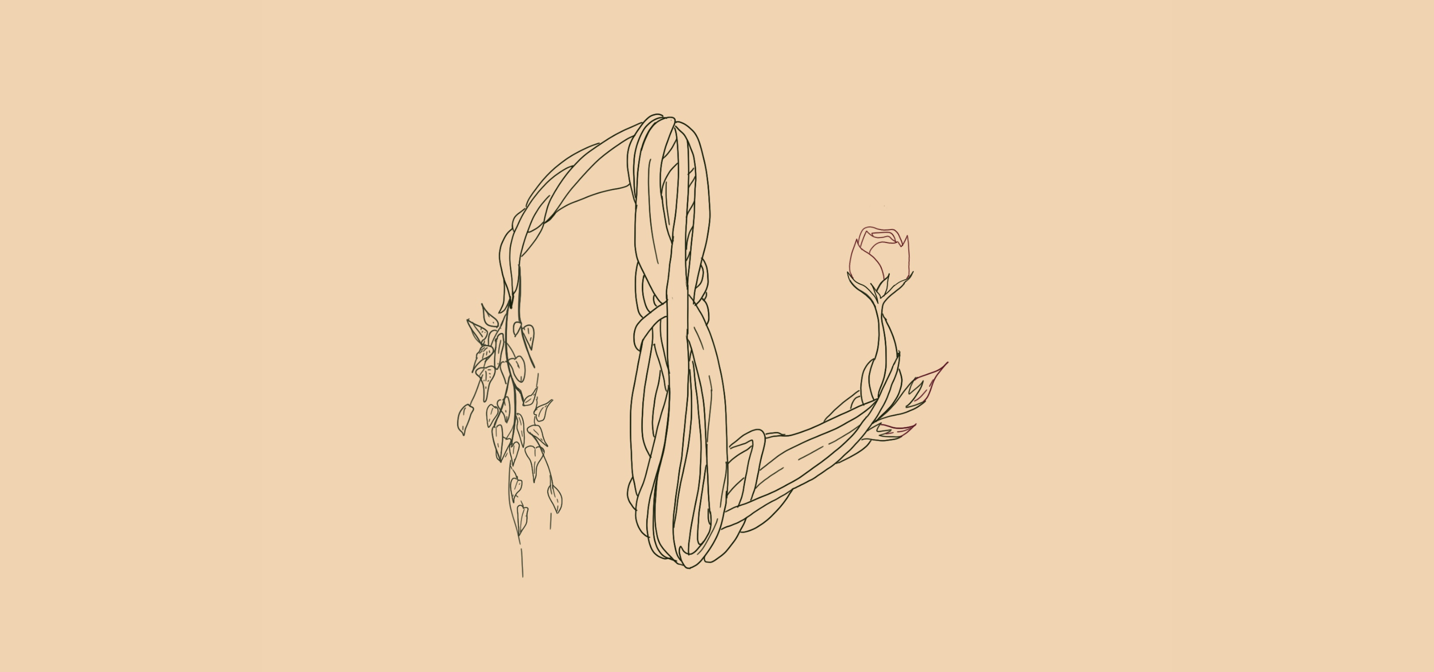 graphic with beige background and a logo design for La Vie en Cello that includes vines leading to a single rose in thin black, drawn lines.
